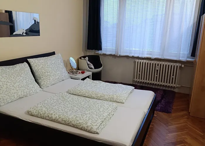 Dream Lägenhet Prag